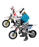 Steve Holcombe World Champ Coaching (NSW)